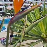 Parque Santiago I Stunning Brand New 2 Bedroom Playa De Americas *