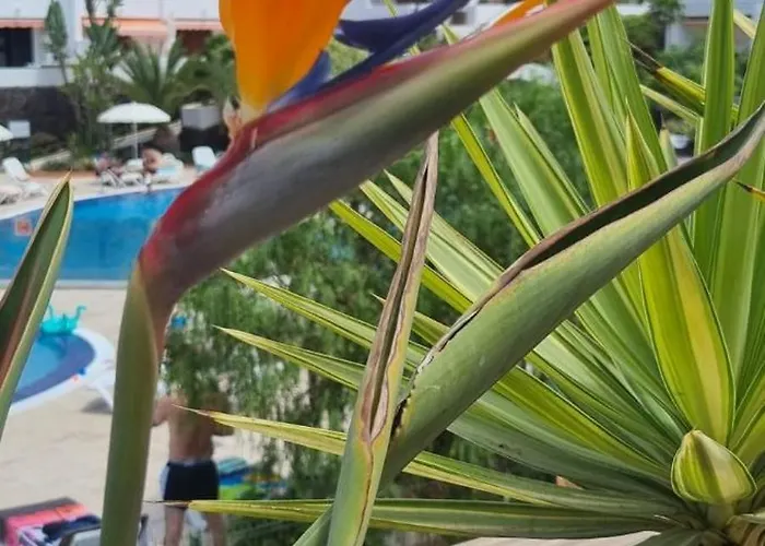 Parque Santiago I Stunning Brand New 2 Bedroom Playa De Americas *